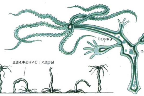 Актуальная ссылка на кракен kraken