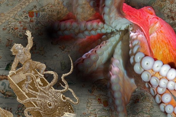 Kraken13at